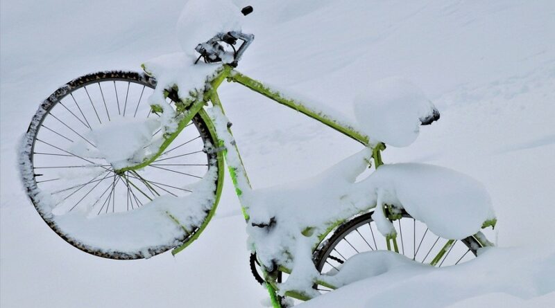 Фото: Альтернатива велопрогулкам зимой